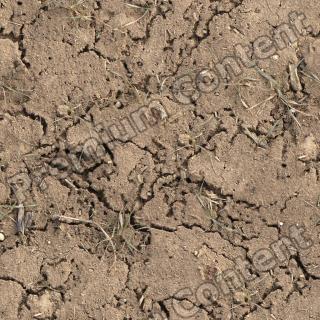 seamless soil 0025